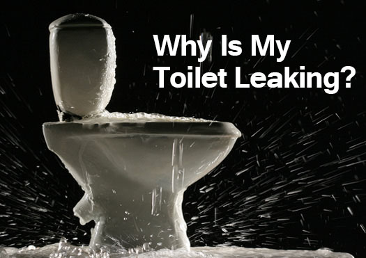 leaking-toilet-Sirius-Plumbing